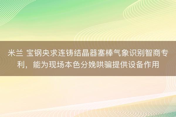 米兰 宝钢央求连铸结晶器塞棒气象识别智商专利，能为现场本色分娩哄骗提供设备作用