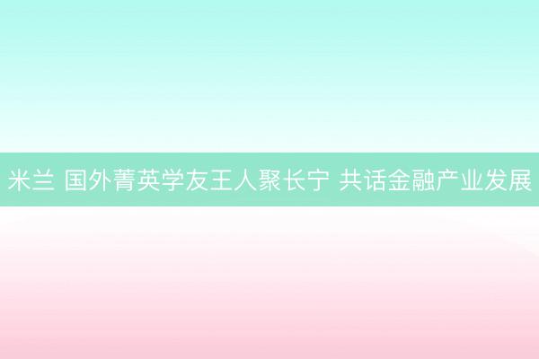 米兰 国外菁英学友王人聚长宁 共话金融产业发展