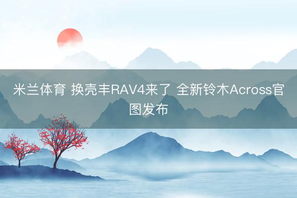 米兰体育 换壳丰RAV4来了 全新铃木Across官图发布