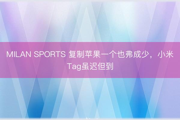 MILAN SPORTS 复制苹果一个也弗成少，小米Tag虽迟但到