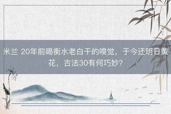 米兰 20年前喝衡水老白干的嗅觉，于今还明日黄花，古法30有何巧妙？