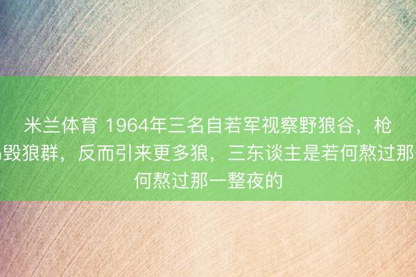 米兰体育 1964年三名自若军视察野狼谷，枪声没能捣毁狼群，反而引来更多狼，三东谈主是若何熬过那一整夜的