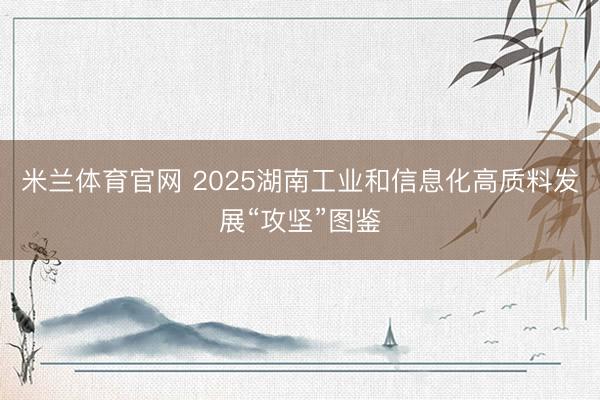 米兰体育官网 2025湖南工业和信息化高质料发展“攻坚”图鉴