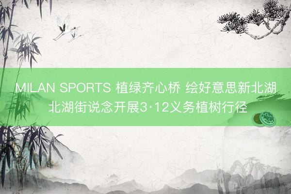 MILAN SPORTS 植绿齐心桥 绘好意思新北湖 北湖街说念开展3·12义务植树行径