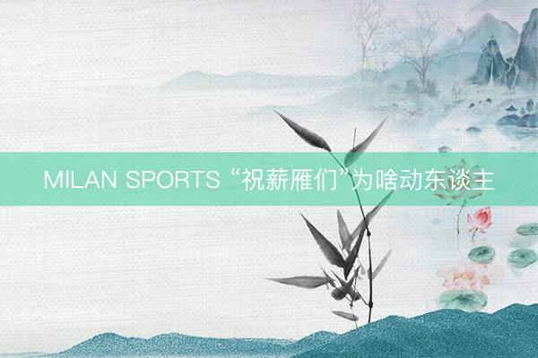 MILAN SPORTS “祝薪雁们”为啥动东谈主