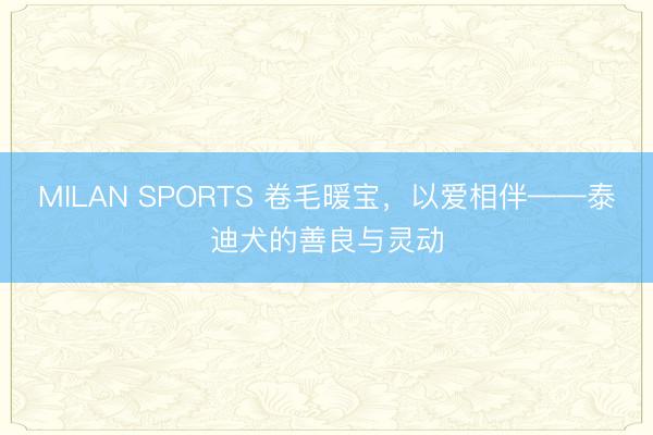 MILAN SPORTS 卷毛暖宝，以爱相伴——泰迪犬的善良与灵动