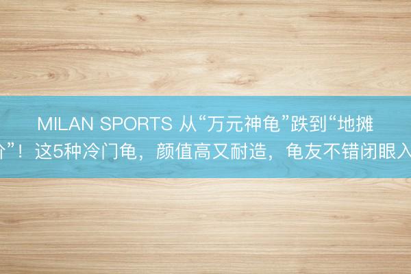 MILAN SPORTS 从“万元神龟”跌到“地摊价”！这5种冷门龟，颜值高又耐造，龟友不错闭眼入？