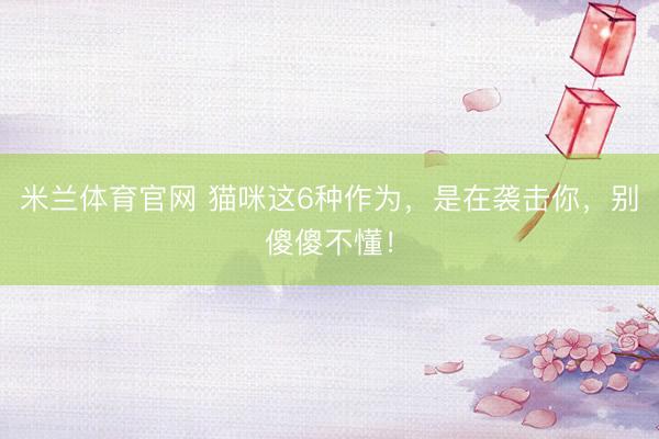 米兰体育官网 猫咪这6种作为，是在袭击你，别傻傻不懂！