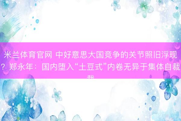米兰体育官网 中好意思大国竞争的关节照旧浮现？郑永年：国内堕入“土豆式”内卷无异于集体自裁